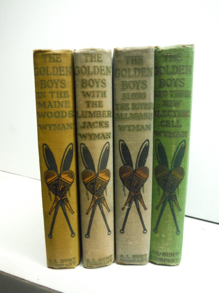 Lot of 4 Golden Boys books