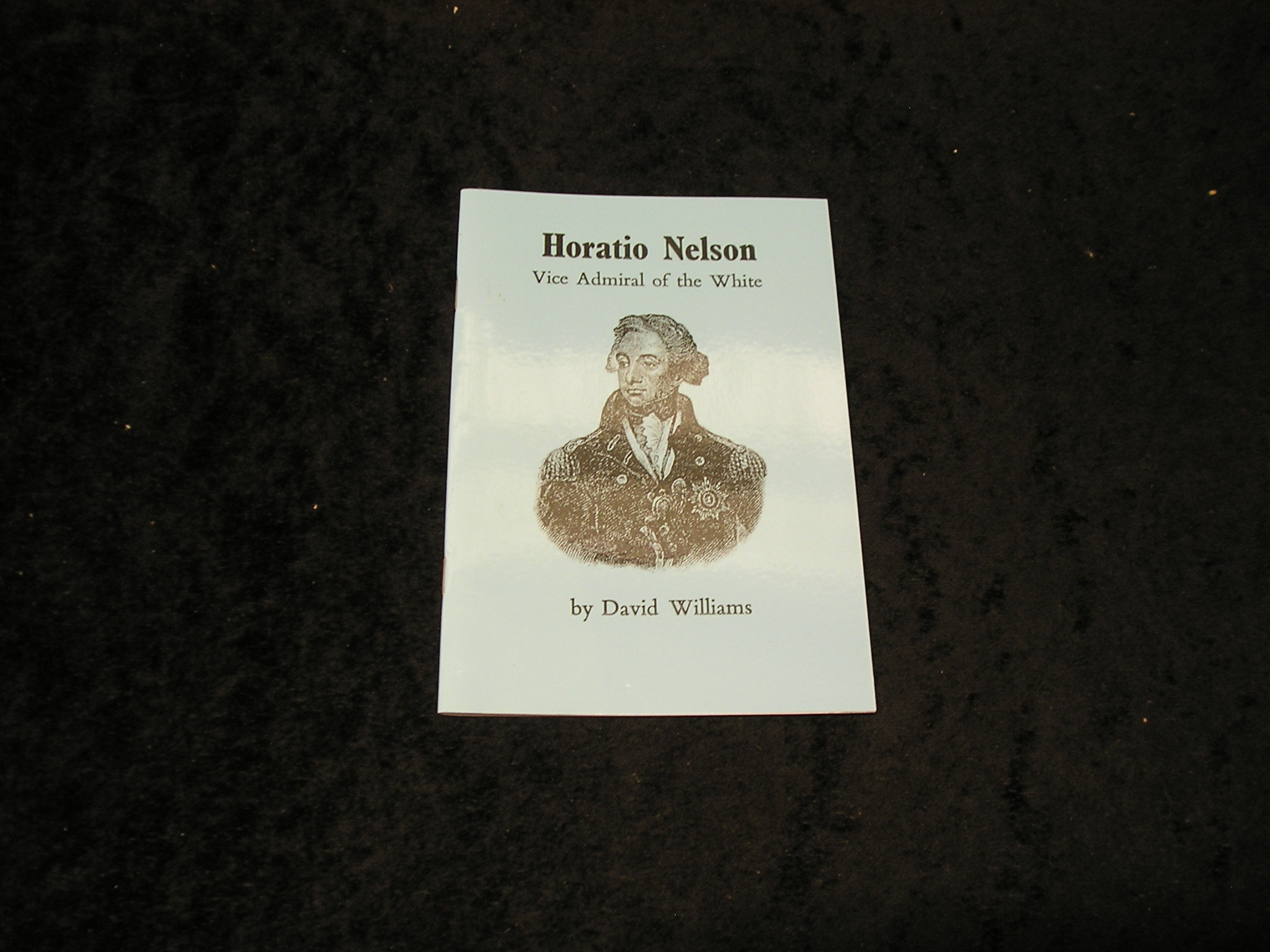 Horatio NelsonVice Admiral of the White